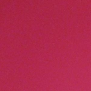 Meet your Posher, Alexis vlogs and